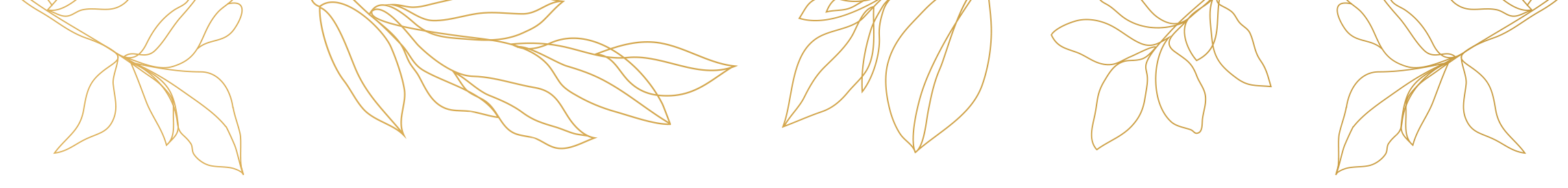 decorative image